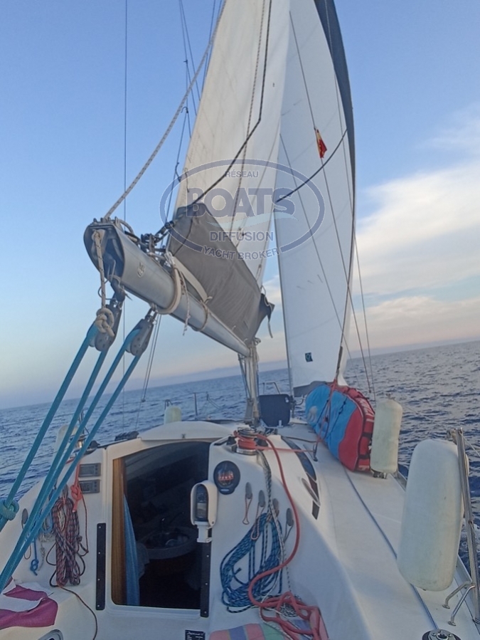 Image deDELPHIA 28 SPORT