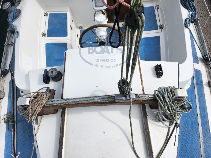 Image deWARRIOR 35