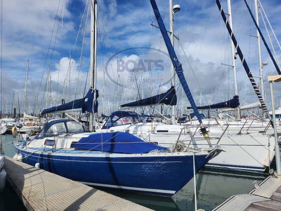 Image deWARRIOR 35