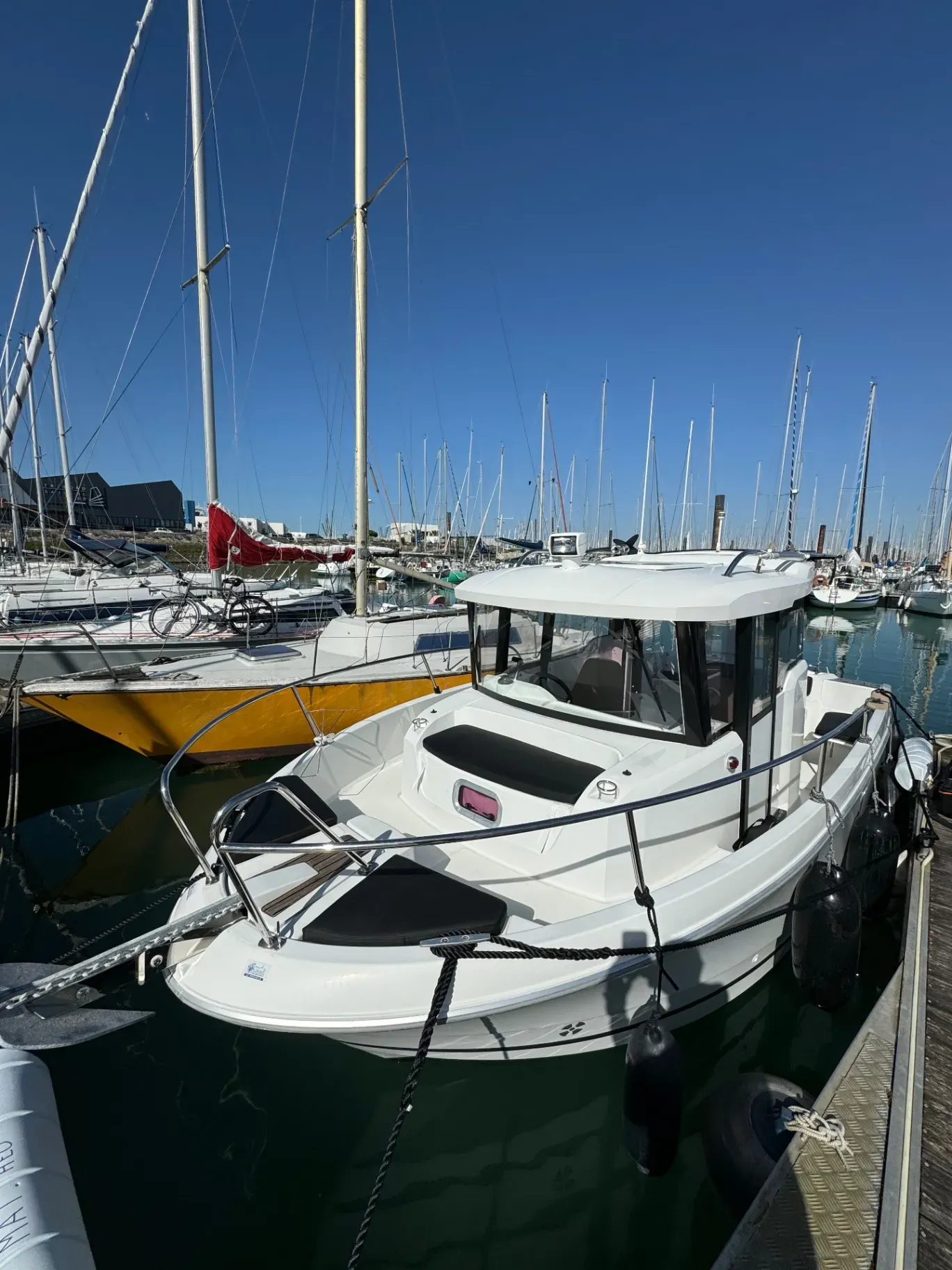 Image deMERRY FISHER 755 Marlin