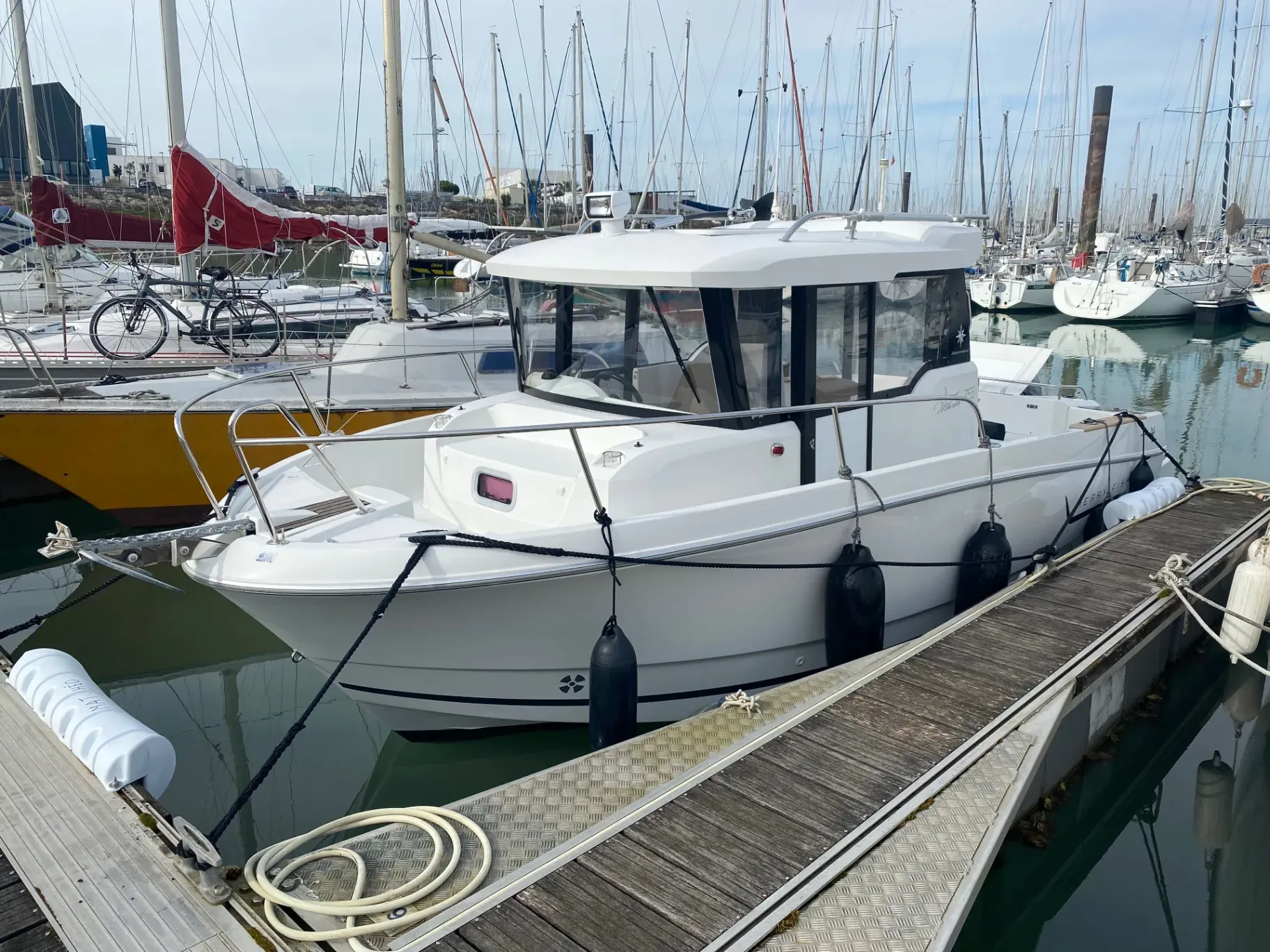 Image deMERRY FISHER 755 Marlin
