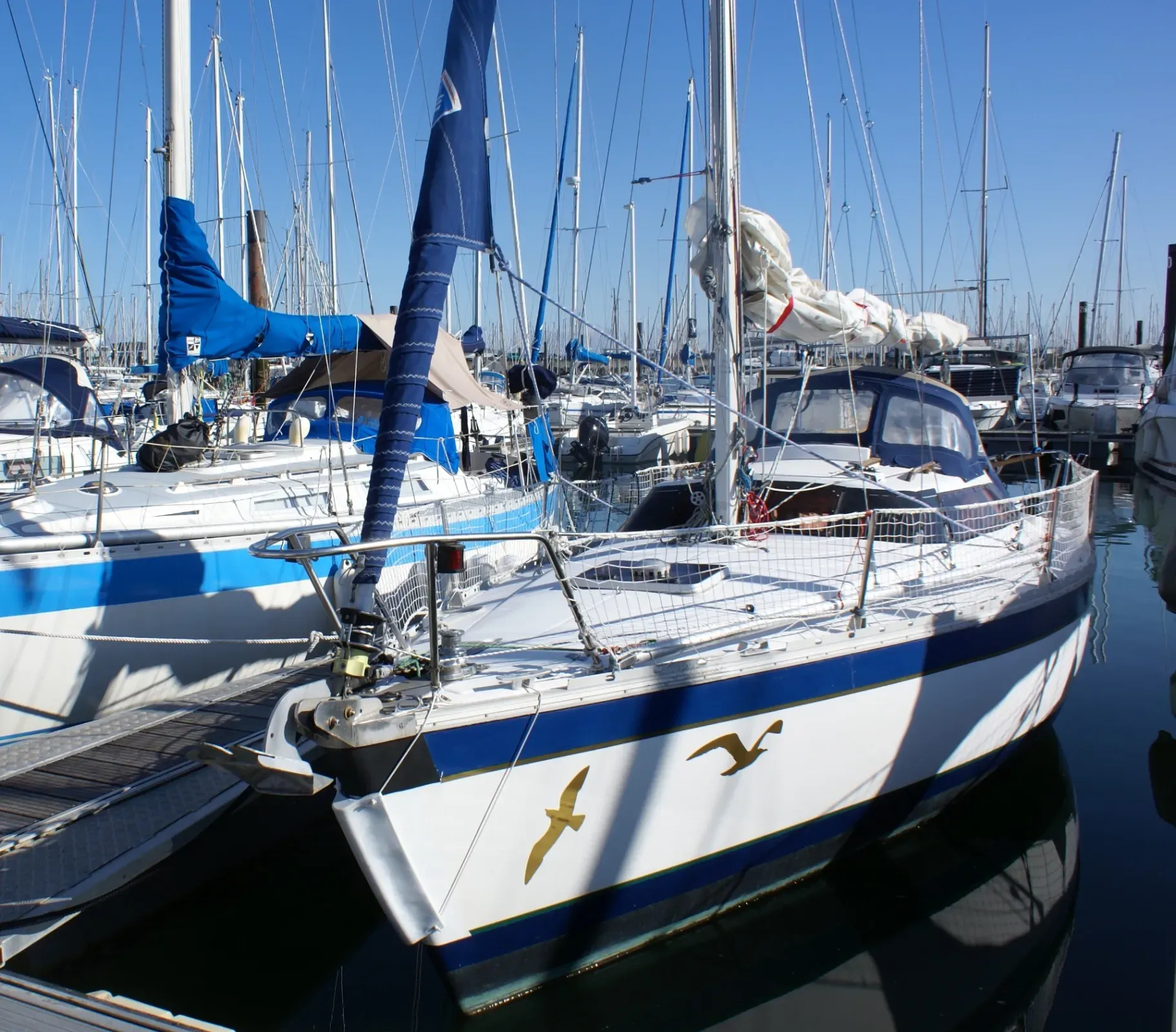 Image deFANTASIA 27 BIQUILLE