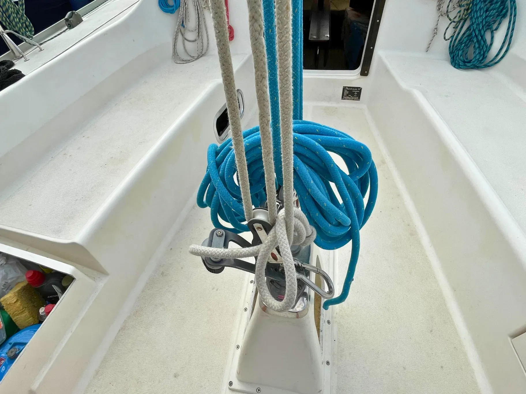 Image deDELPHIA 28 SPORT