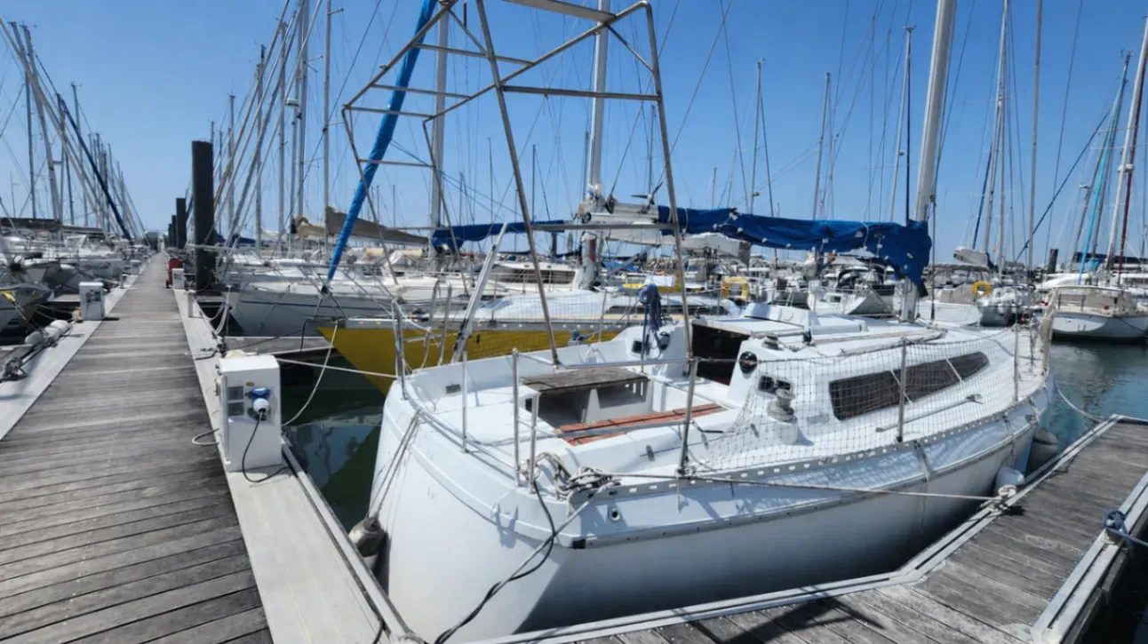 Image deGIB SEA 31 DL