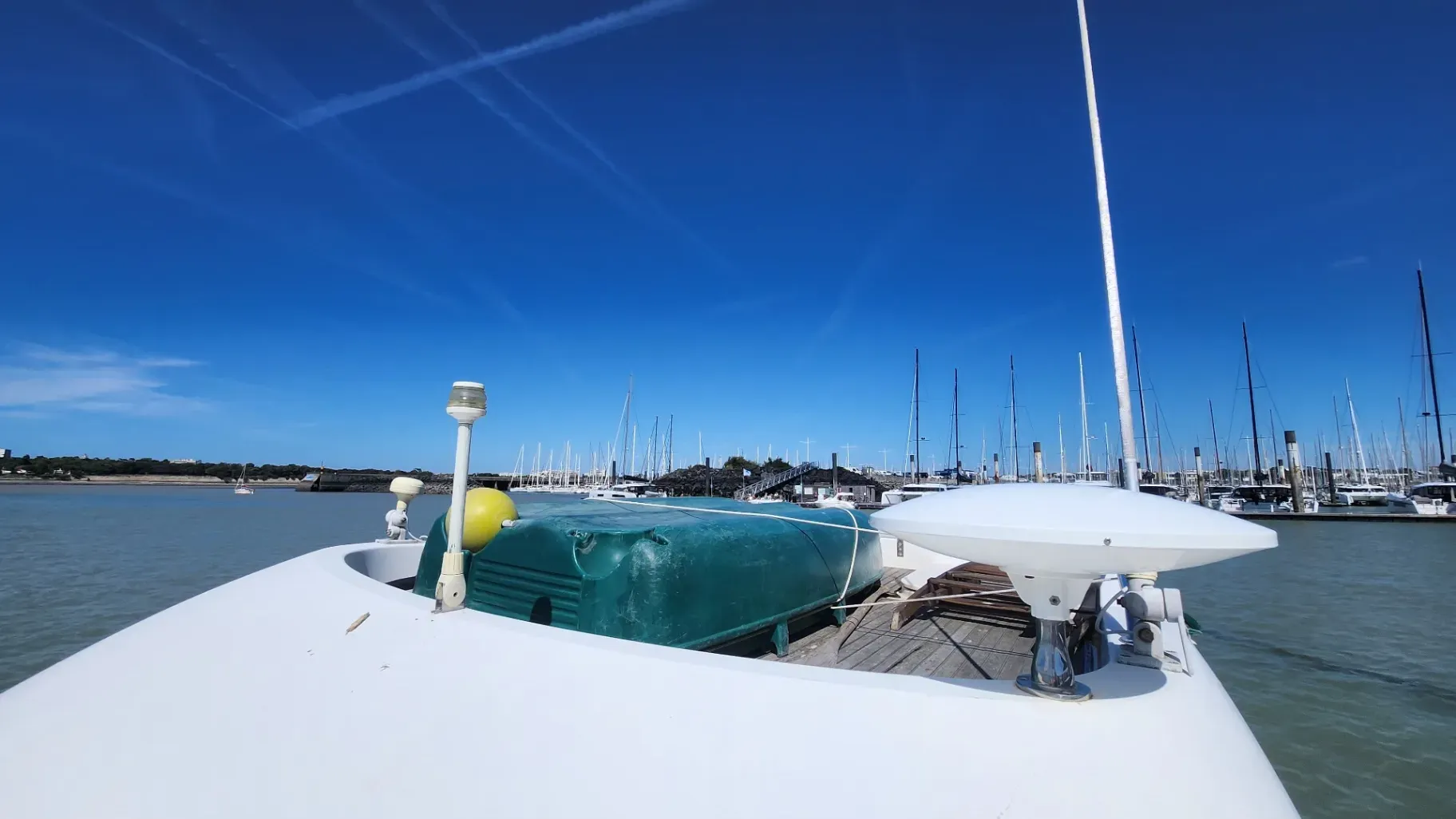 Image deMERRY FISHER 805