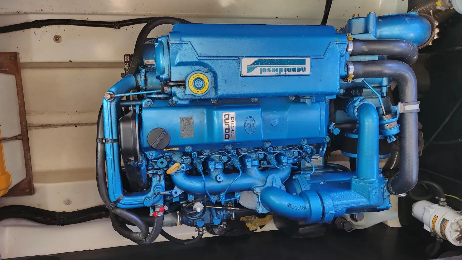 Image deMERRY FISHER 805